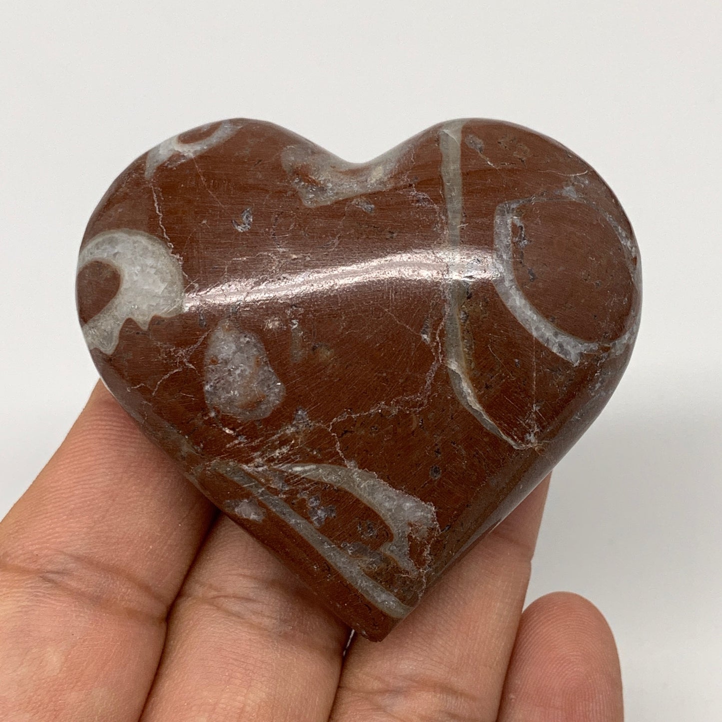 88.3g,2"x2.2"x1"Natural Untreated Red Shell Fossils Heart Reiki Energy,F935