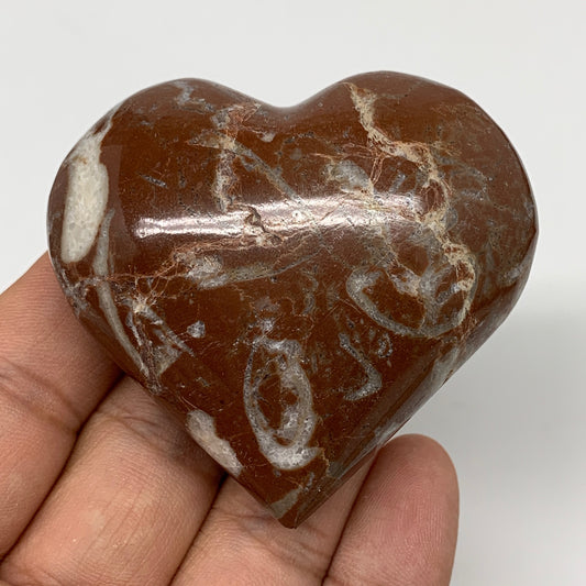 100g,2.1"x2.3"x1.1"Natural Untreated Red Shell Fossils Heart Reiki Energy,F938