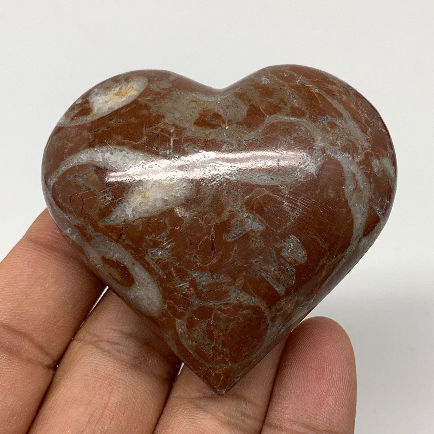 105.7g,2.2"x2.3"x1.1"Natural Untreated Red Shell Fossils Heart Reiki Energy,F939