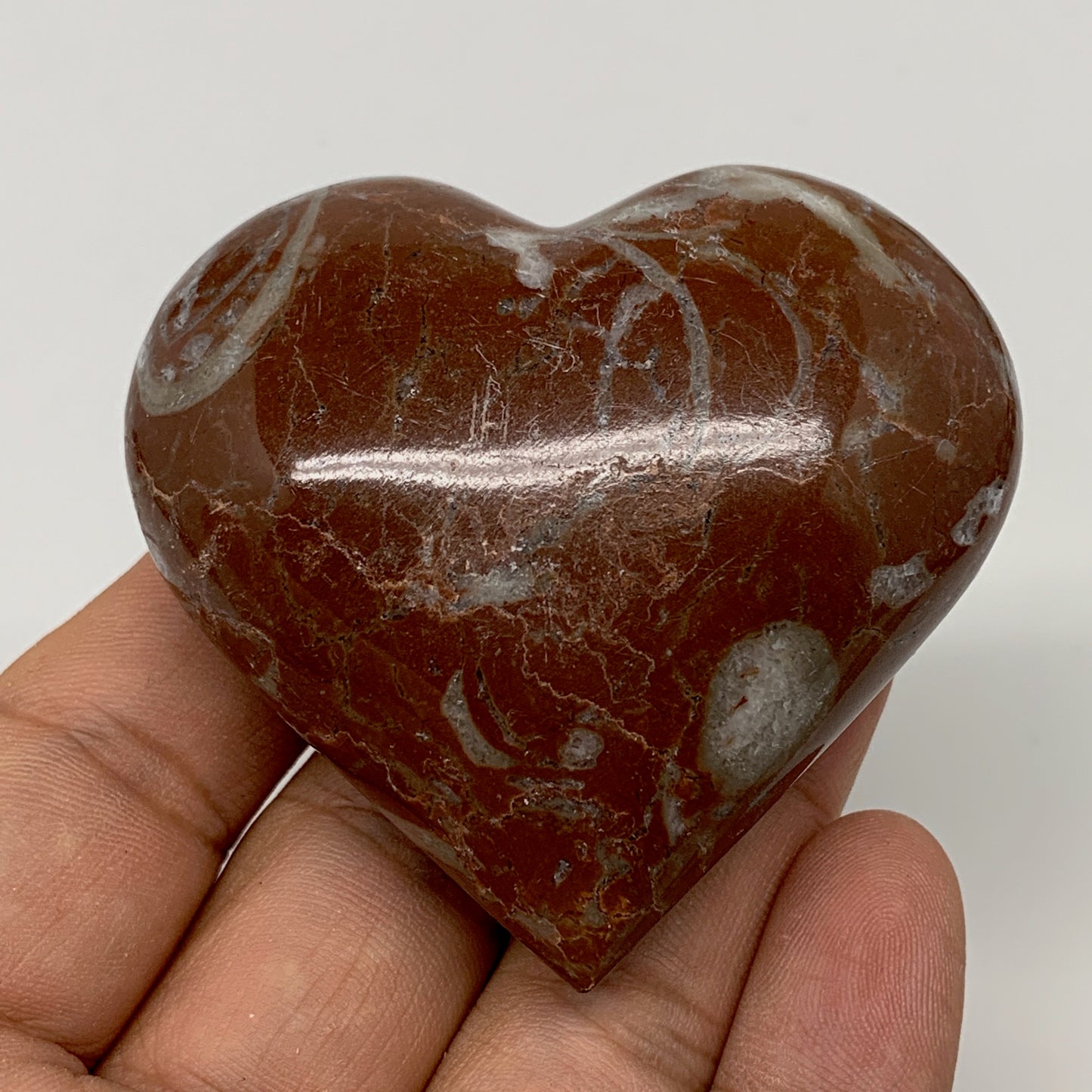 105.7g,2.2"x2.3"x1.1"Natural Untreated Red Shell Fossils Heart Reiki Energy,F939