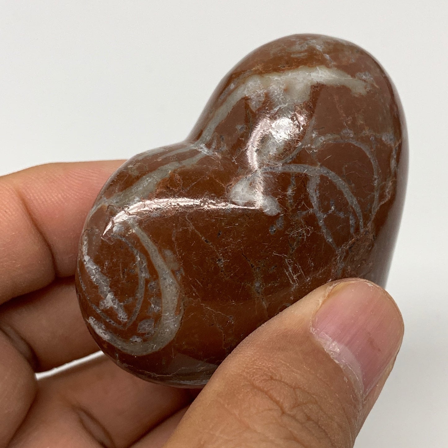 105.7g,2.2"x2.3"x1.1"Natural Untreated Red Shell Fossils Heart Reiki Energy,F939