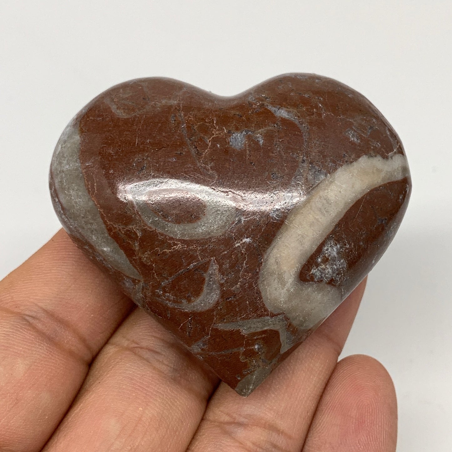 85.2g,2"x2.2"x1"Natural Untreated Red Shell Fossils Heart Reiki Energy,F941