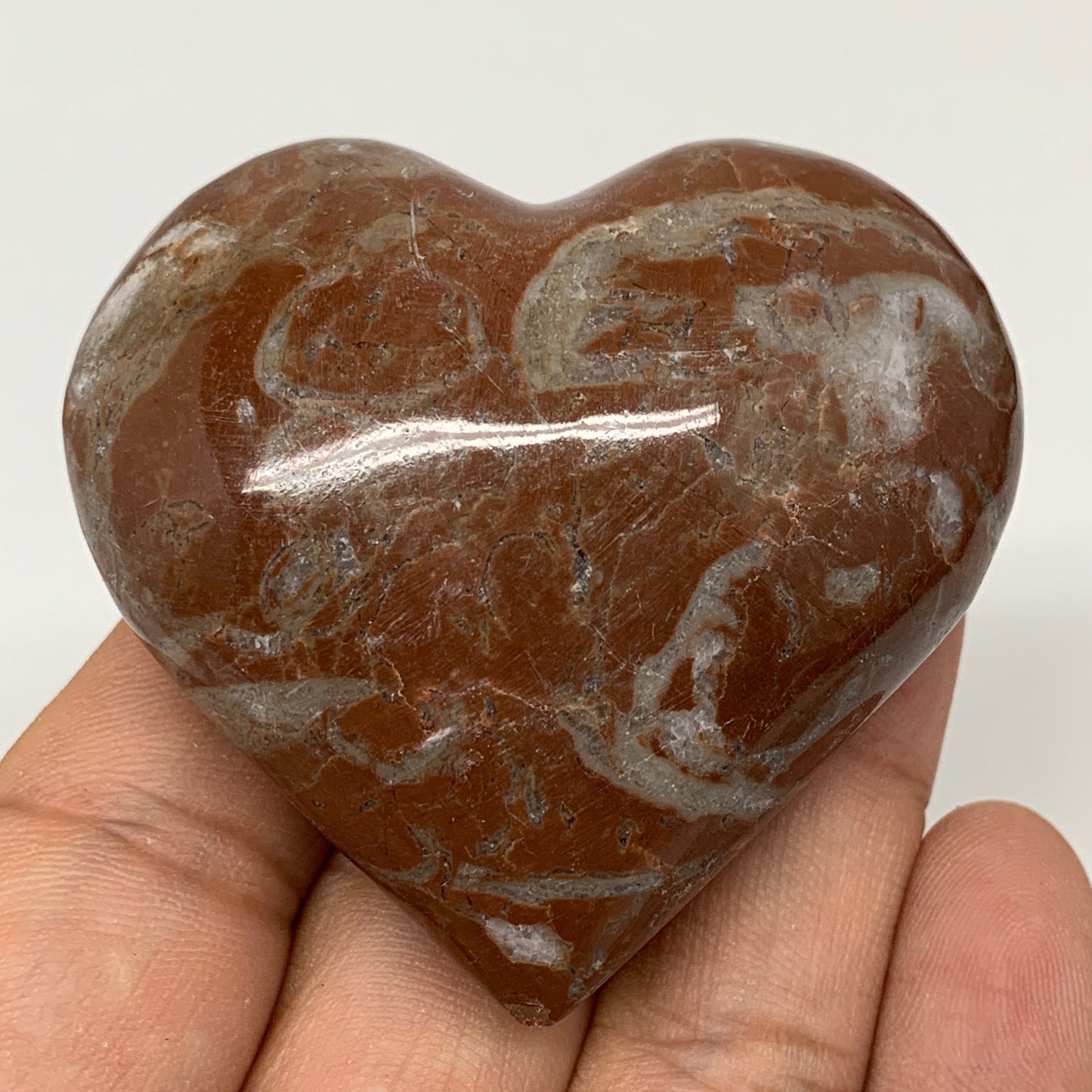 81.8g,2"x2.2"x1"Natural Untreated Red Shell Fossils Heart Reiki Energy,F943