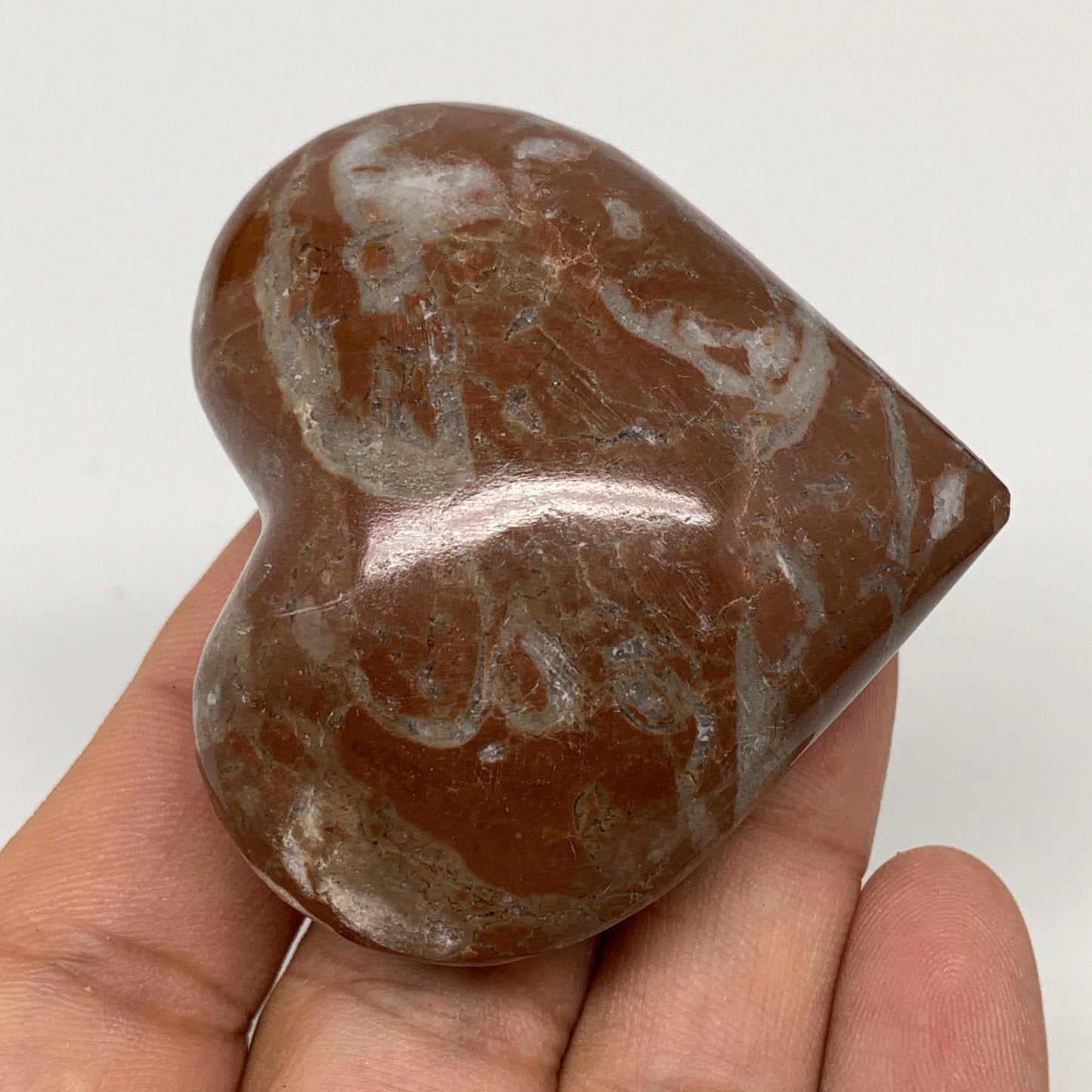 81.8g,2"x2.2"x1"Natural Untreated Red Shell Fossils Heart Reiki Energy,F943