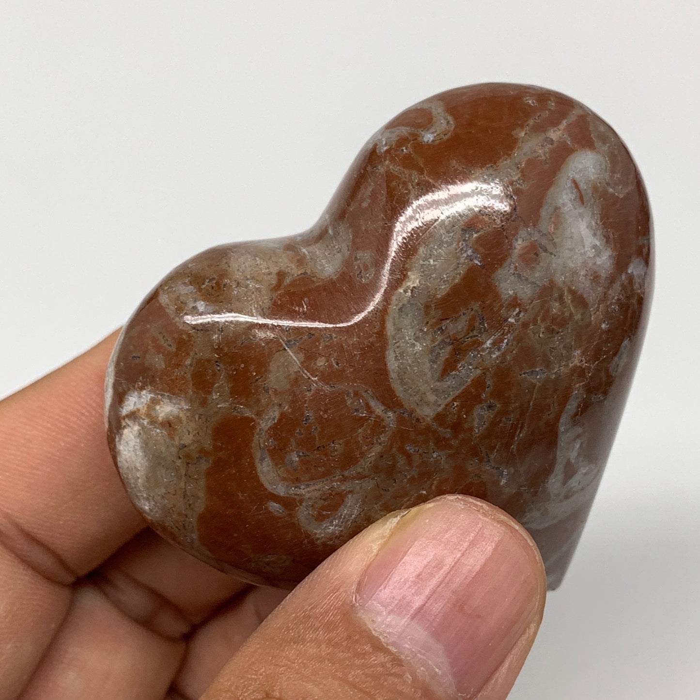 81.8g,2"x2.2"x1"Natural Untreated Red Shell Fossils Heart Reiki Energy,F943