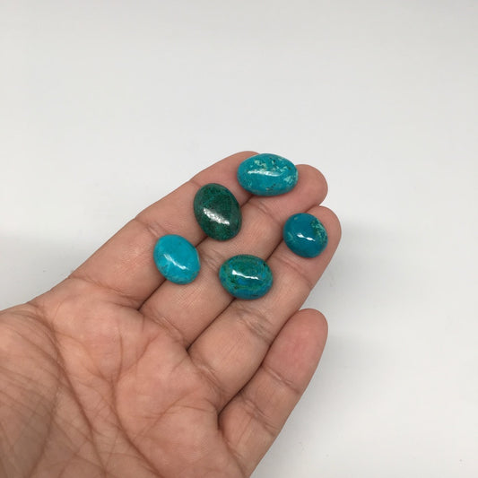 51.5 cts, 5pcs, Natural Oval Flat Bottom Chrysocolla Cabochons @Mexico,Lot31 - watangem.com