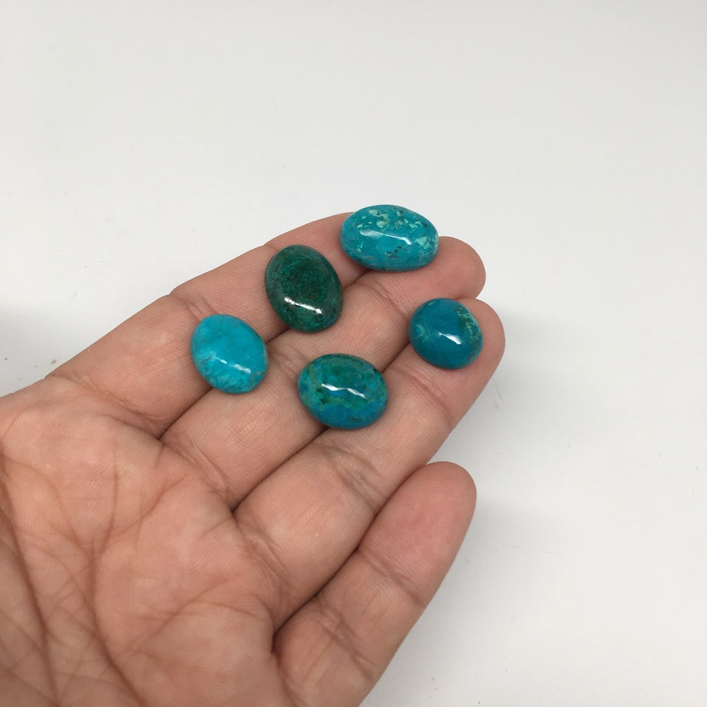 51.5 cts, 5pcs, Natural Oval Flat Bottom Chrysocolla Cabochons @Mexico,Lot31 - watangem.com