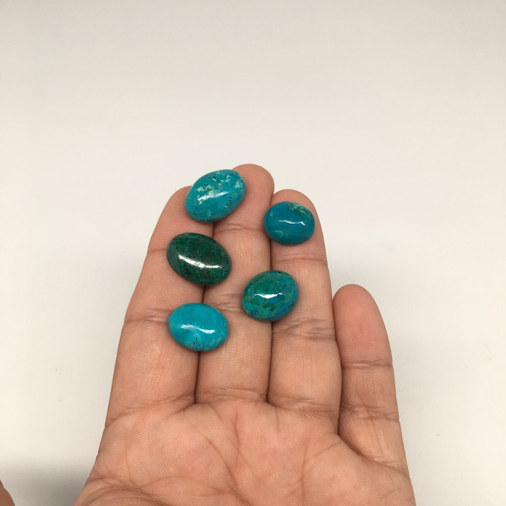 51.5 cts, 5pcs, Natural Oval Flat Bottom Chrysocolla Cabochons @Mexico,Lot31 - watangem.com