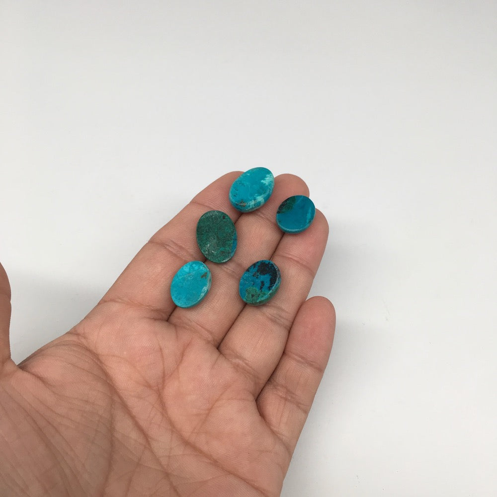 51.5 cts, 5pcs, Natural Oval Flat Bottom Chrysocolla Cabochons @Mexico,Lot31 - watangem.com