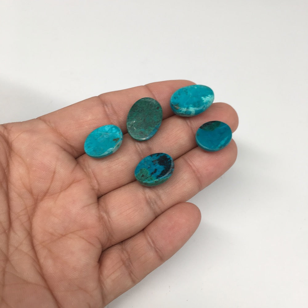 51.5 cts, 5pcs, Natural Oval Flat Bottom Chrysocolla Cabochons @Mexico,Lot31 - watangem.com