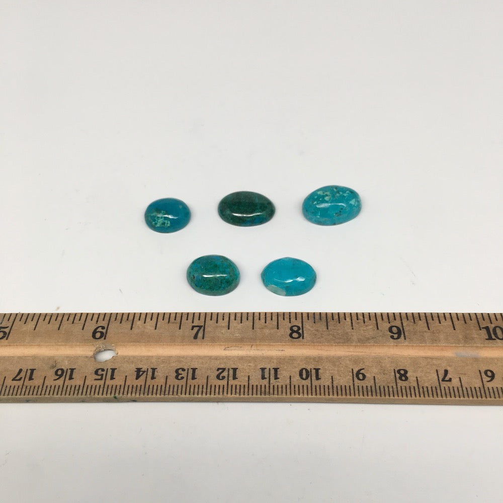 51.5 cts, 5pcs, Natural Oval Flat Bottom Chrysocolla Cabochons @Mexico,Lot31 - watangem.com