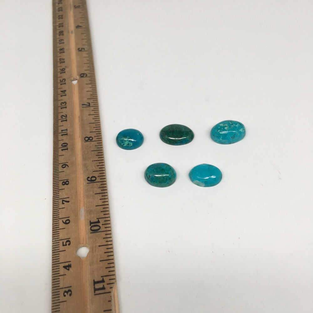 51.5 cts, 5pcs, Natural Oval Flat Bottom Chrysocolla Cabochons @Mexico,Lot31 - watangem.com