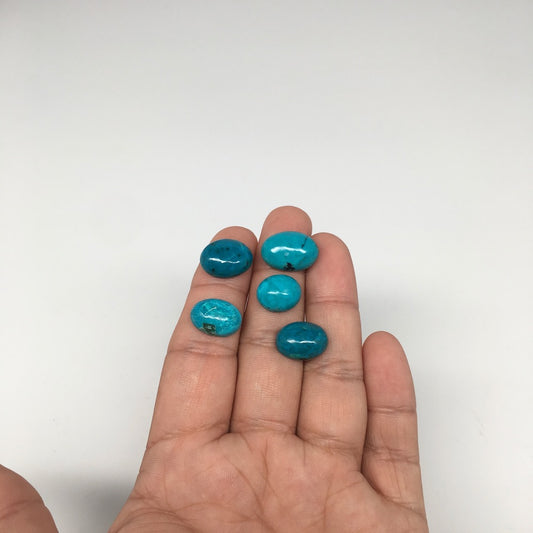 33 cts, 5pcs, Natural Oval Flat Bottom Chrysocolla Cabochons @Mexico,Lot36 - watangem.com