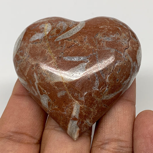 56.5g,2"x2.1"x0.6" Natural Untreated Red Shell Fossils Half Heart @Morocco,F958