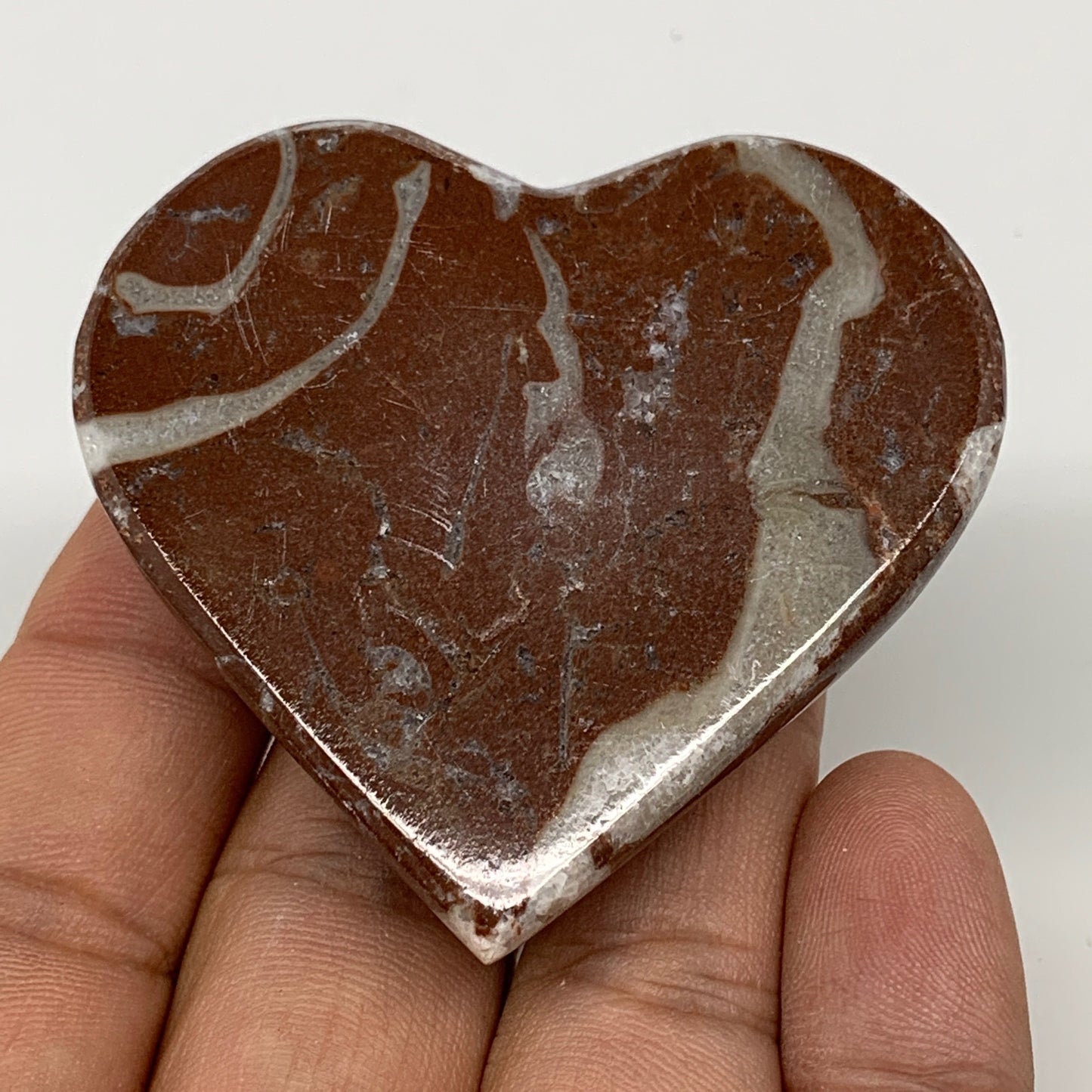 62.8g,2"x2.2"x0.7" Natural Untreated Red Shell Fossils Half Heart @Morocco,F962