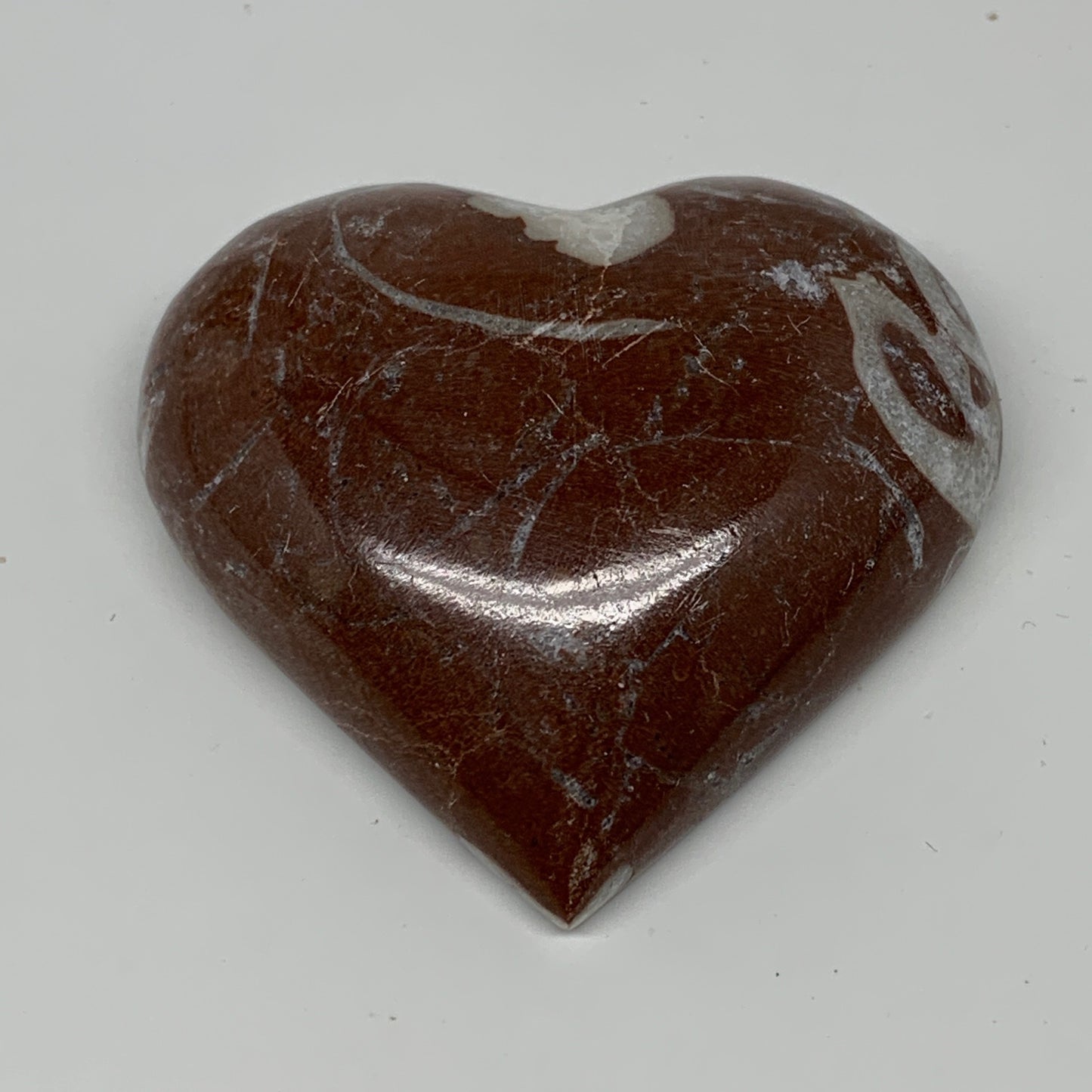 62.8g,2"x2.2"x0.7" Natural Untreated Red Shell Fossils Half Heart @Morocco,F962