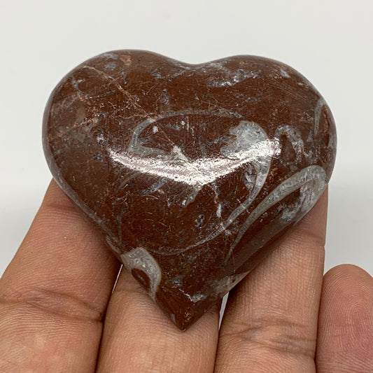 53.3g, 2" x 2.1"x 0.6", Natural Untreated Red Shell Fossils Half Heart @Morocco,