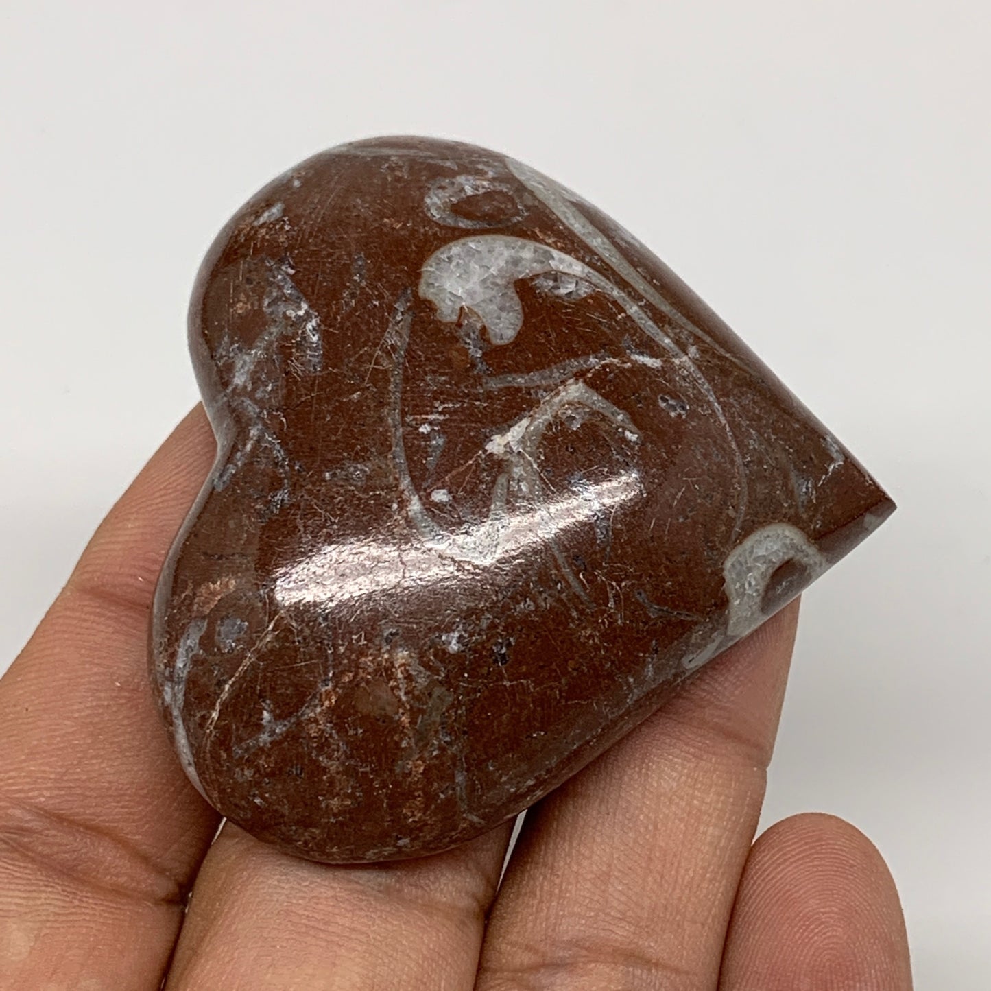 53.3g, 2" x 2.1"x 0.6", Natural Untreated Red Shell Fossils Half Heart @Morocco,