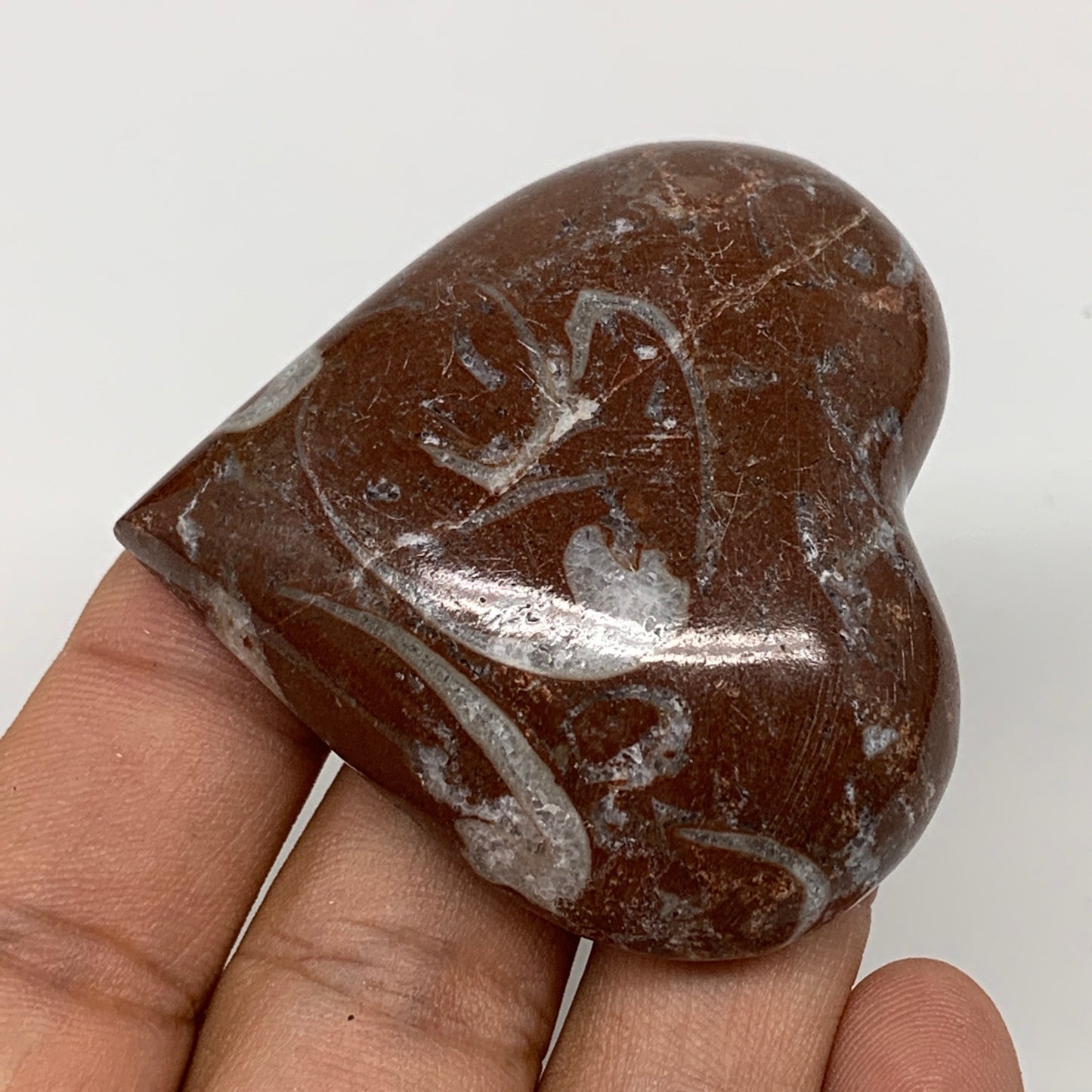 53.3g, 2" x 2.1"x 0.6", Natural Untreated Red Shell Fossils Half Heart @Morocco,