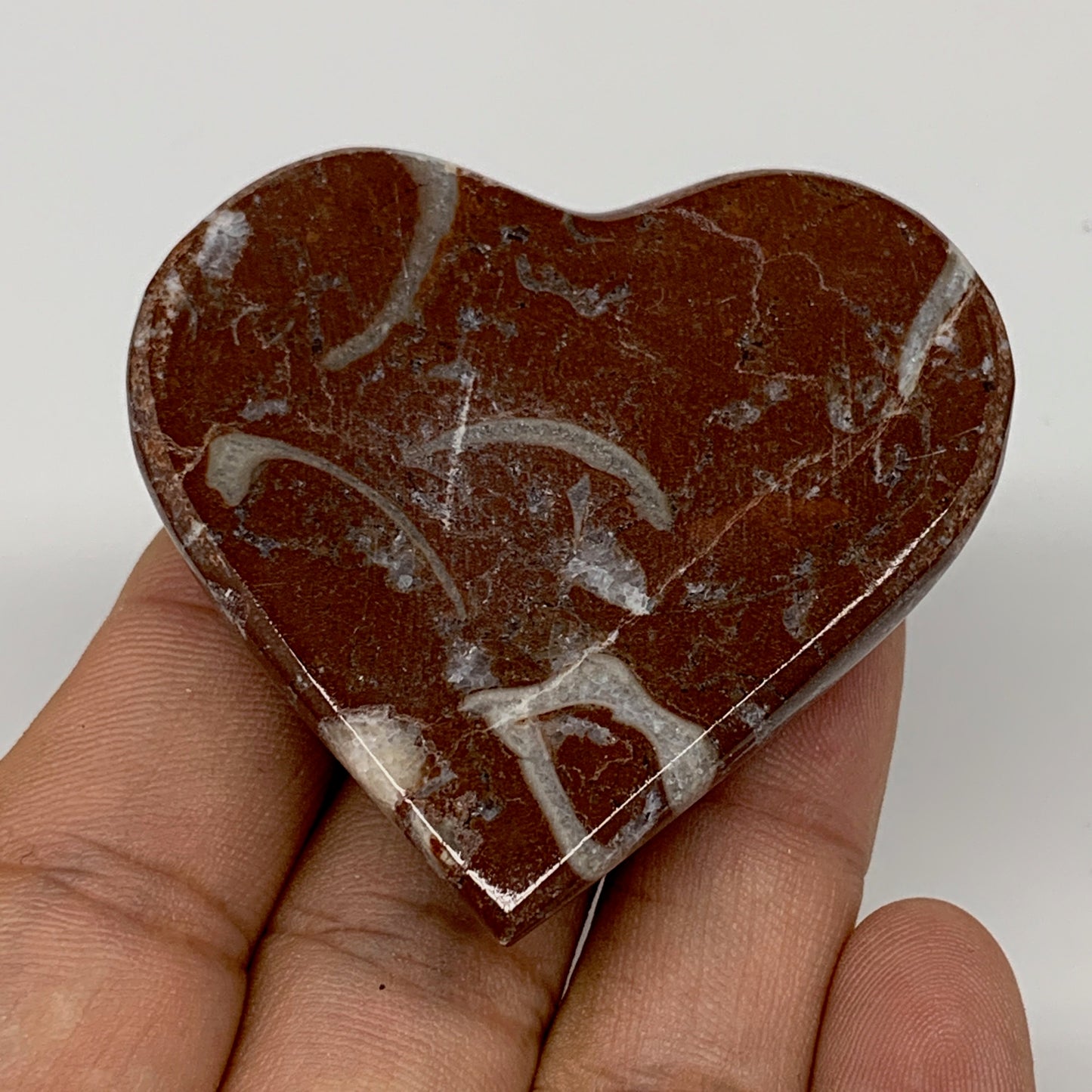 53.3g, 2" x 2.1"x 0.6", Natural Untreated Red Shell Fossils Half Heart @Morocco,