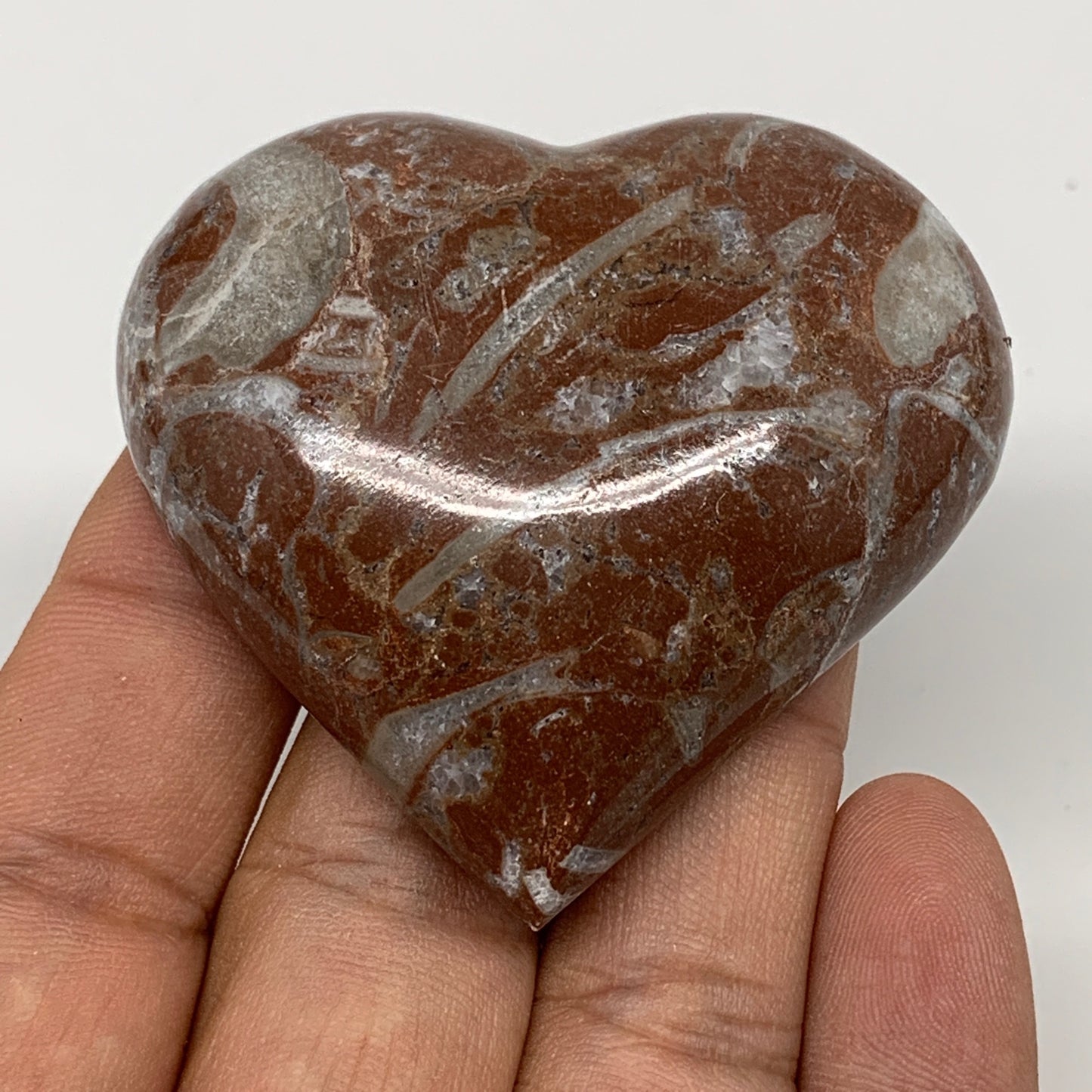 62.4g, 2" x 2.2"x 0.7", Natural Untreated Red Shell Fossils Half Heart @Morocco,