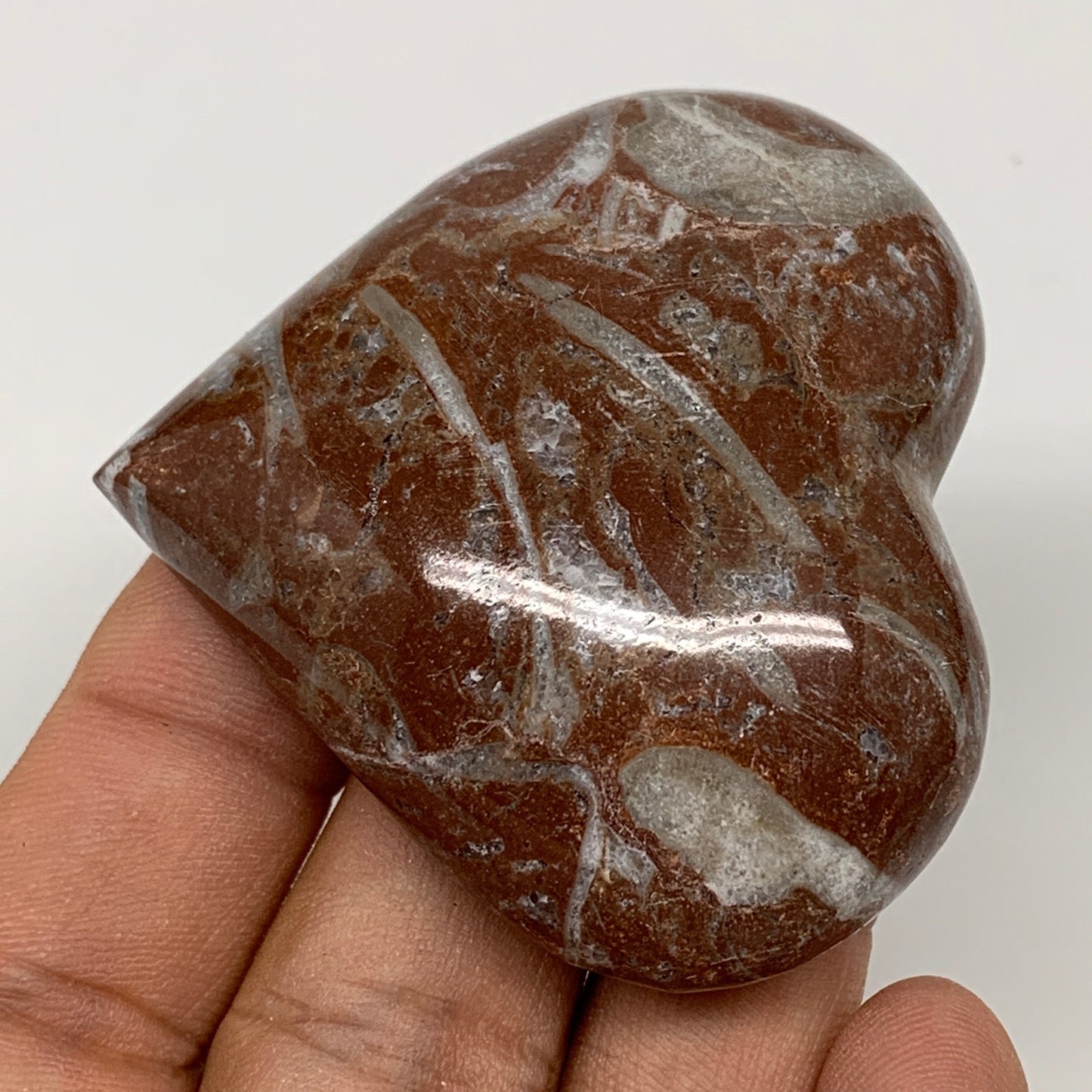 62.4g, 2" x 2.2"x 0.7", Natural Untreated Red Shell Fossils Half Heart @Morocco,