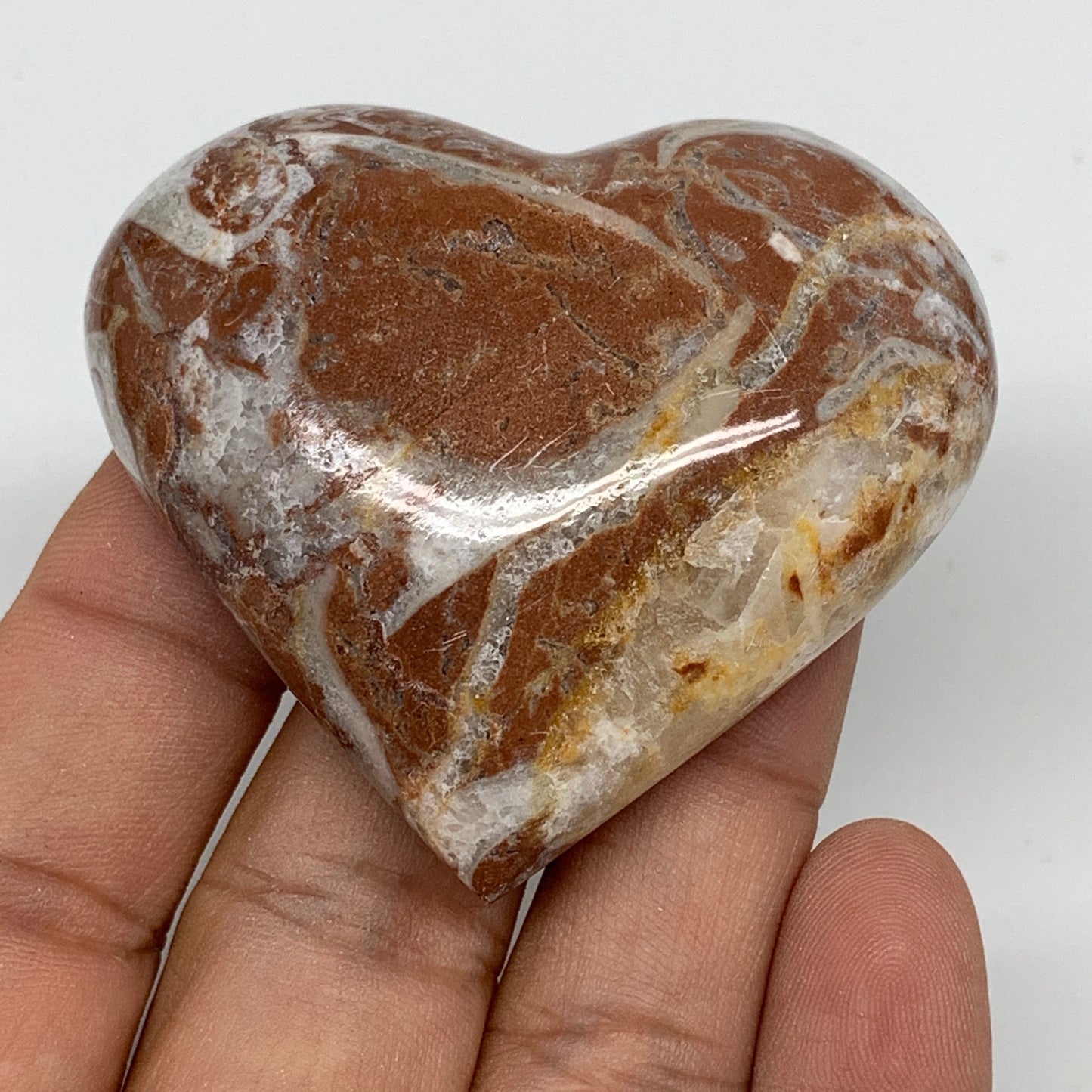 59g, 2" x 2.2"x 0.7", Natural Untreated Red Shell Fossils Half Heart @Morocco,F1