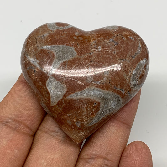 55.8g, 2" x 2.1"x 0.6", Natural Untreated Red Shell Fossils Half Heart @Morocco,