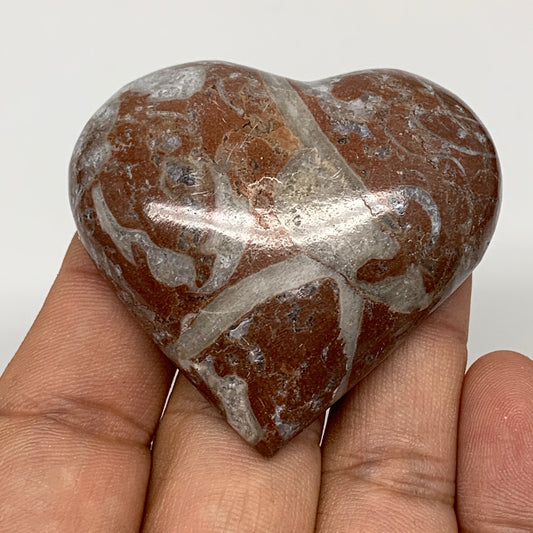 54.1g, 1.9" x 2.1"x 0.7", Natural Untreated Red Shell Fossils Half Heart @Morocc