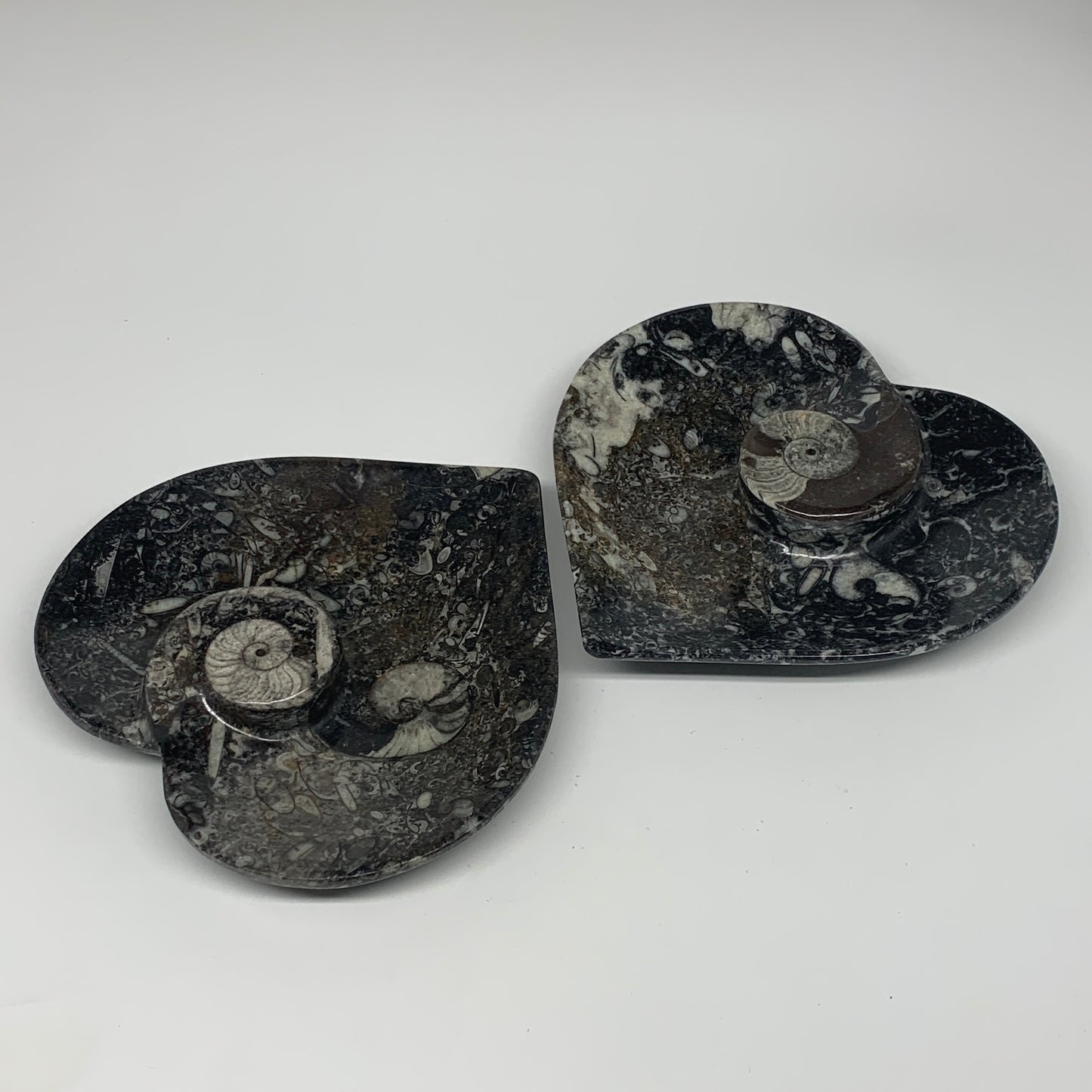 2pcs Set, 6.25"x6.25" Heart Fossils Orthoceras Ammonite Bowls @Morocco, B8473