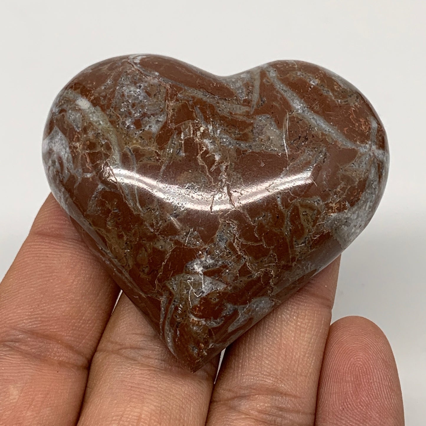 61.4g, 2" x 2.2"x 0.6", Natural Untreated Red Shell Fossils Half Heart @Morocco,