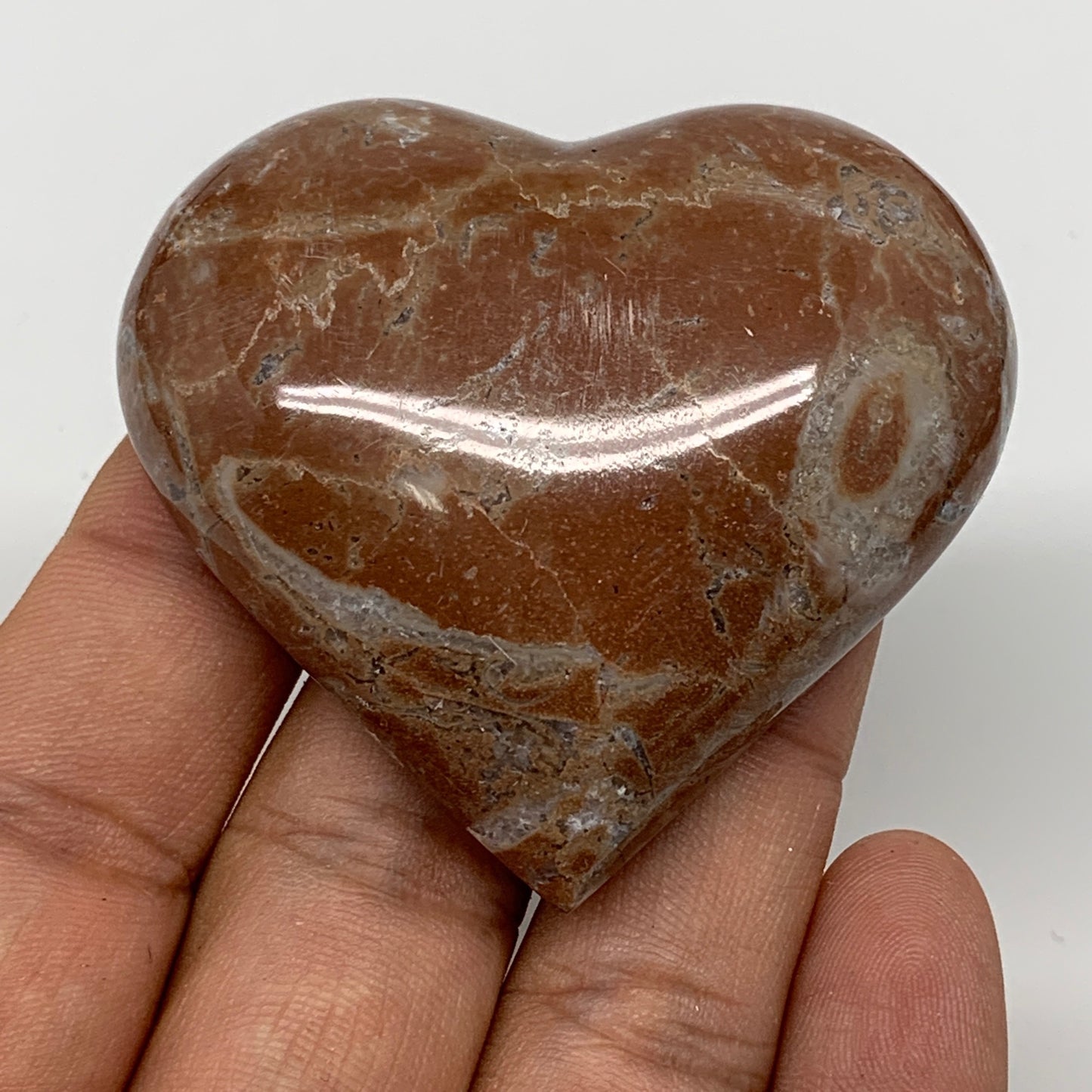 62.1g, 2" x 2.2"x 0.6", Natural Untreated Red Shell Fossils Half Heart @Morocco,