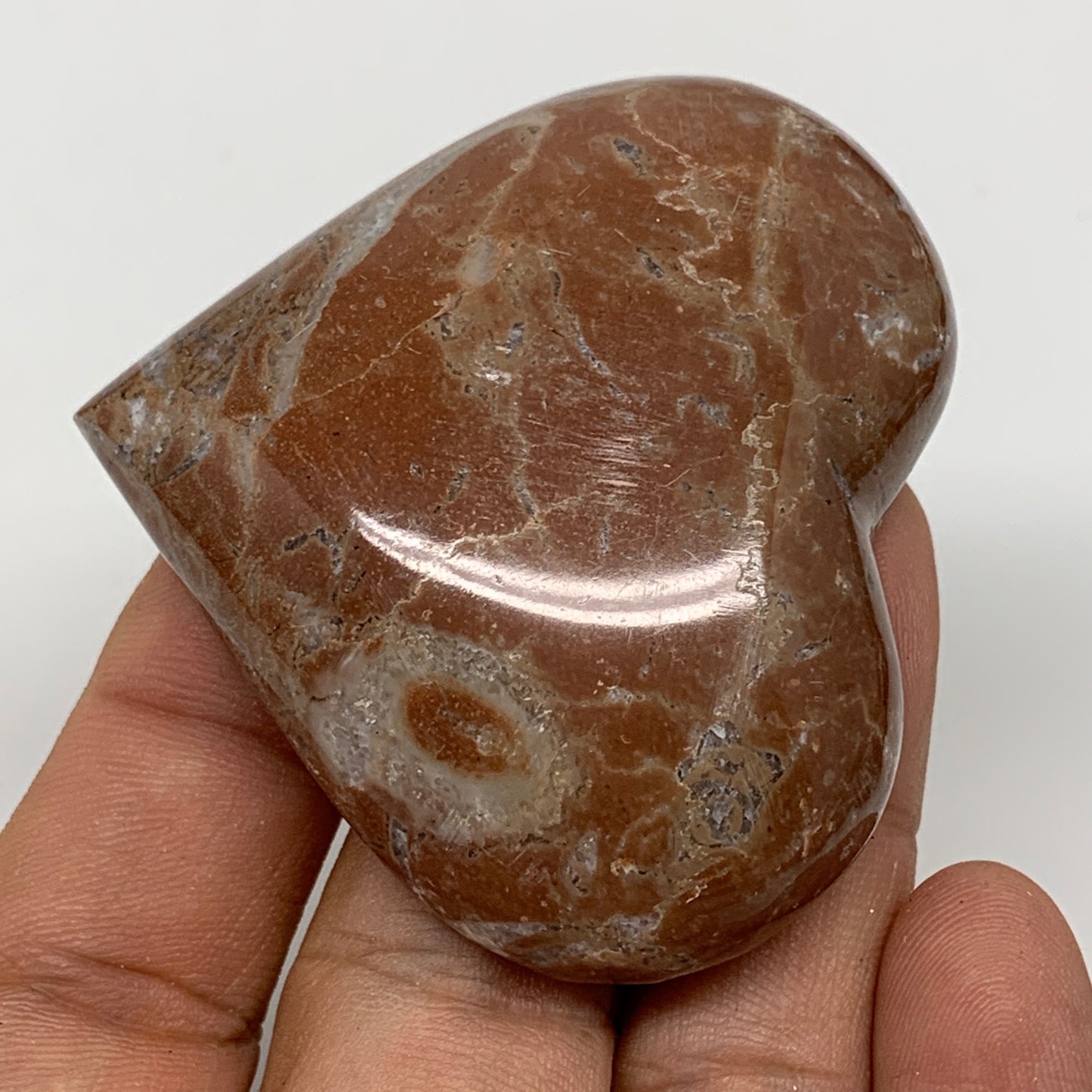 62.1g, 2" x 2.2"x 0.6", Natural Untreated Red Shell Fossils Half Heart @Morocco,