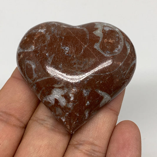 53.4g, 2" x 2.1"x 0.6", Natural Untreated Red Shell Fossils Half Heart @Morocco,