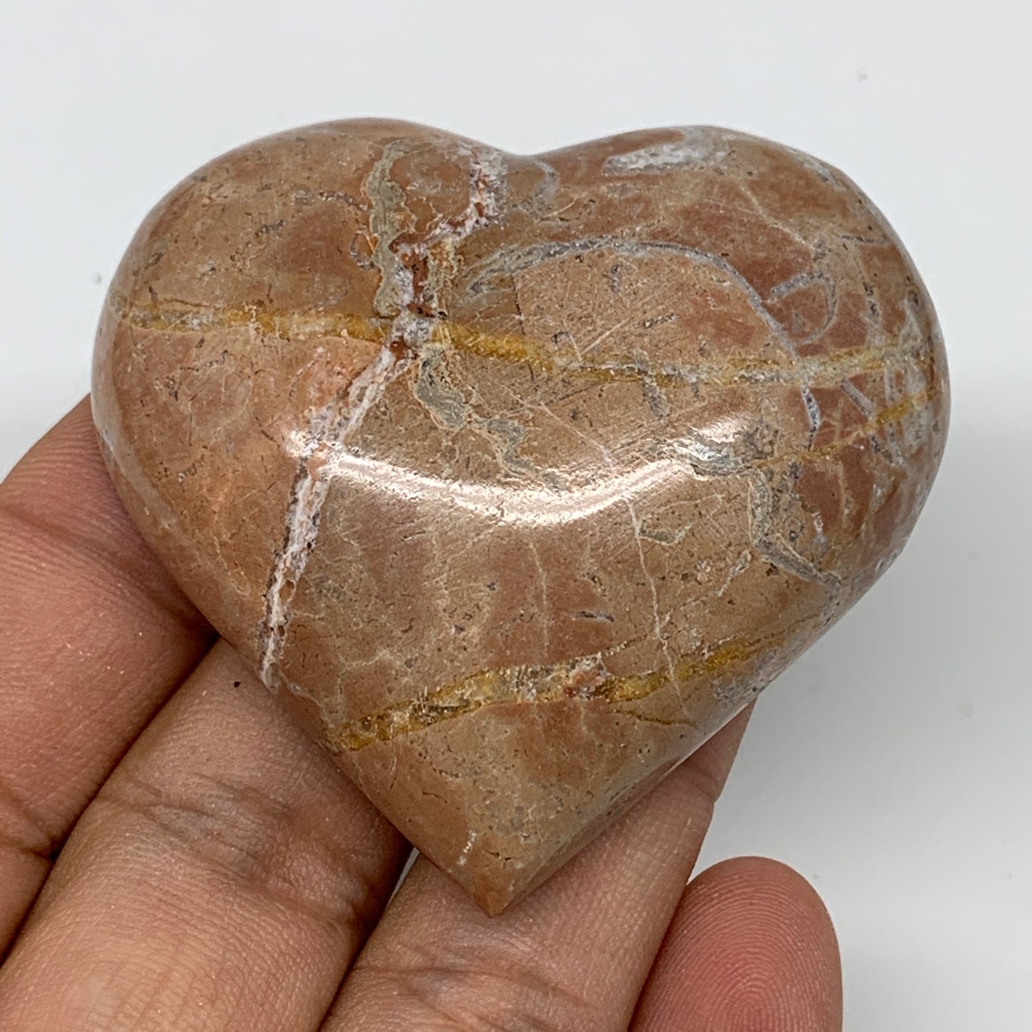 61g, 2" x 2.1"x 0.7", Natural Untreated Red Shell Fossils Half Heart @Morocco,F1