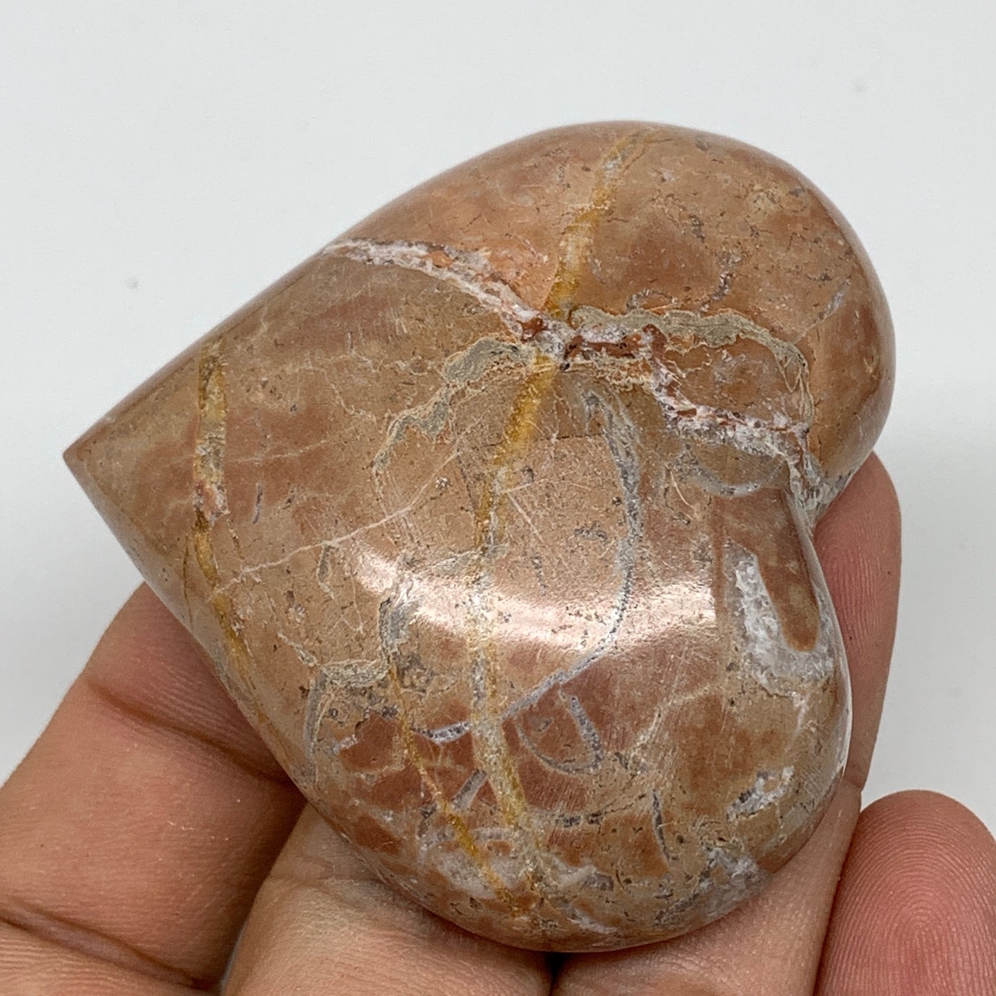 61g, 2" x 2.1"x 0.7", Natural Untreated Red Shell Fossils Half Heart @Morocco,F1