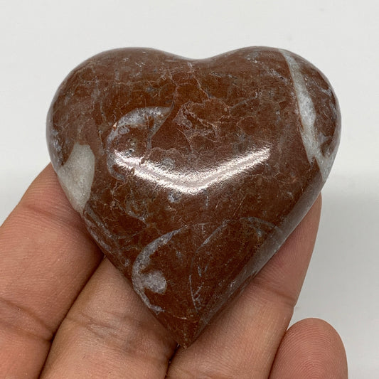 53.7g, 2" x 2"x 0.7", Natural Untreated Red Shell Fossils Half Heart @Morocco,F1