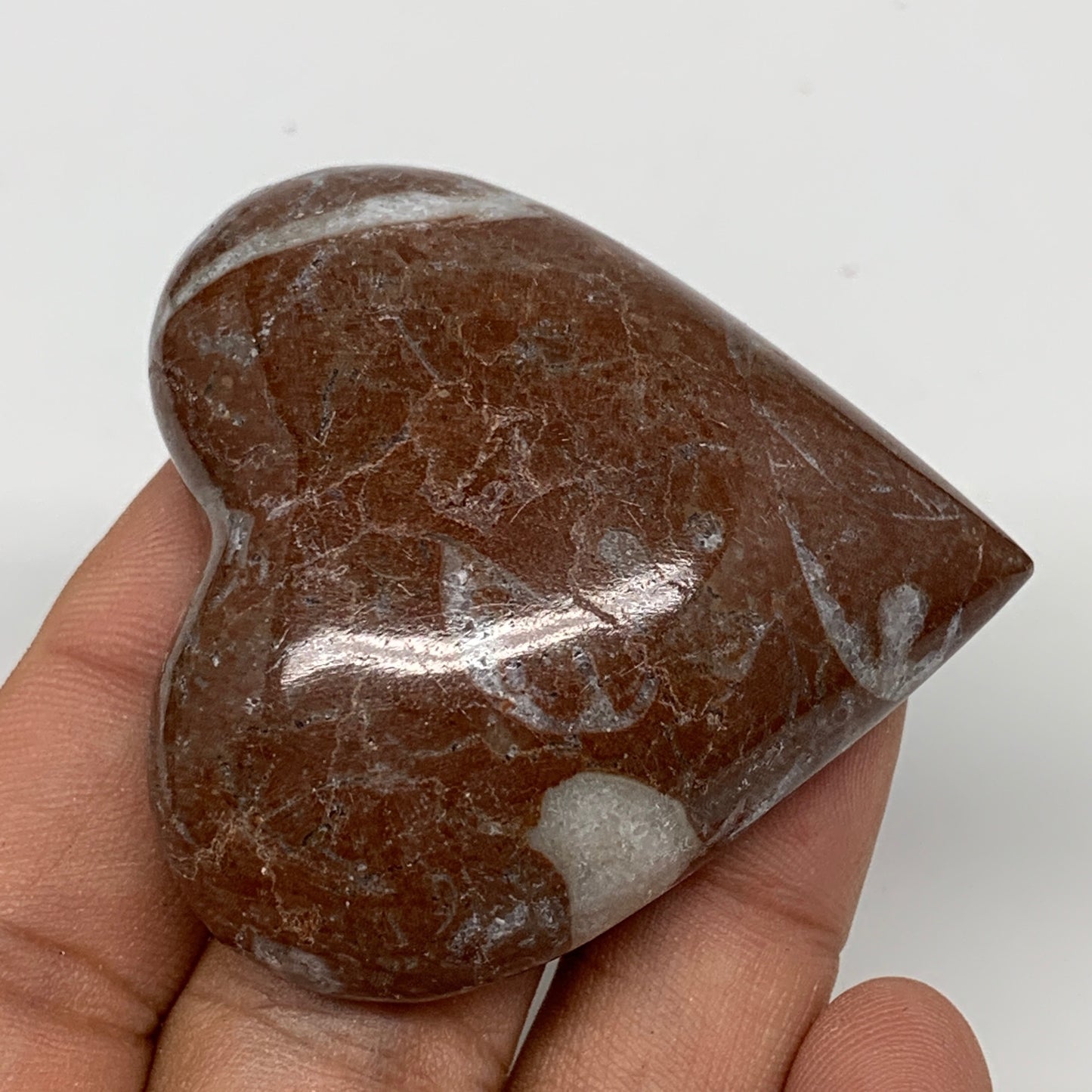 53.7g, 2" x 2"x 0.7", Natural Untreated Red Shell Fossils Half Heart @Morocco,F1