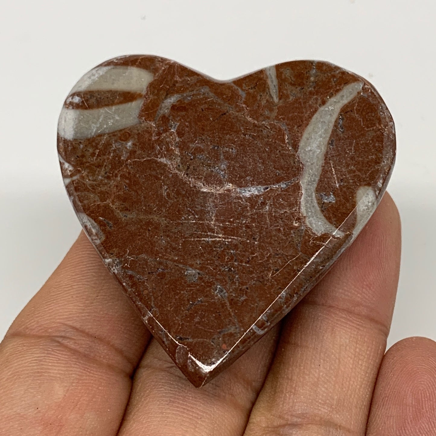 53.7g, 2" x 2"x 0.7", Natural Untreated Red Shell Fossils Half Heart @Morocco,F1