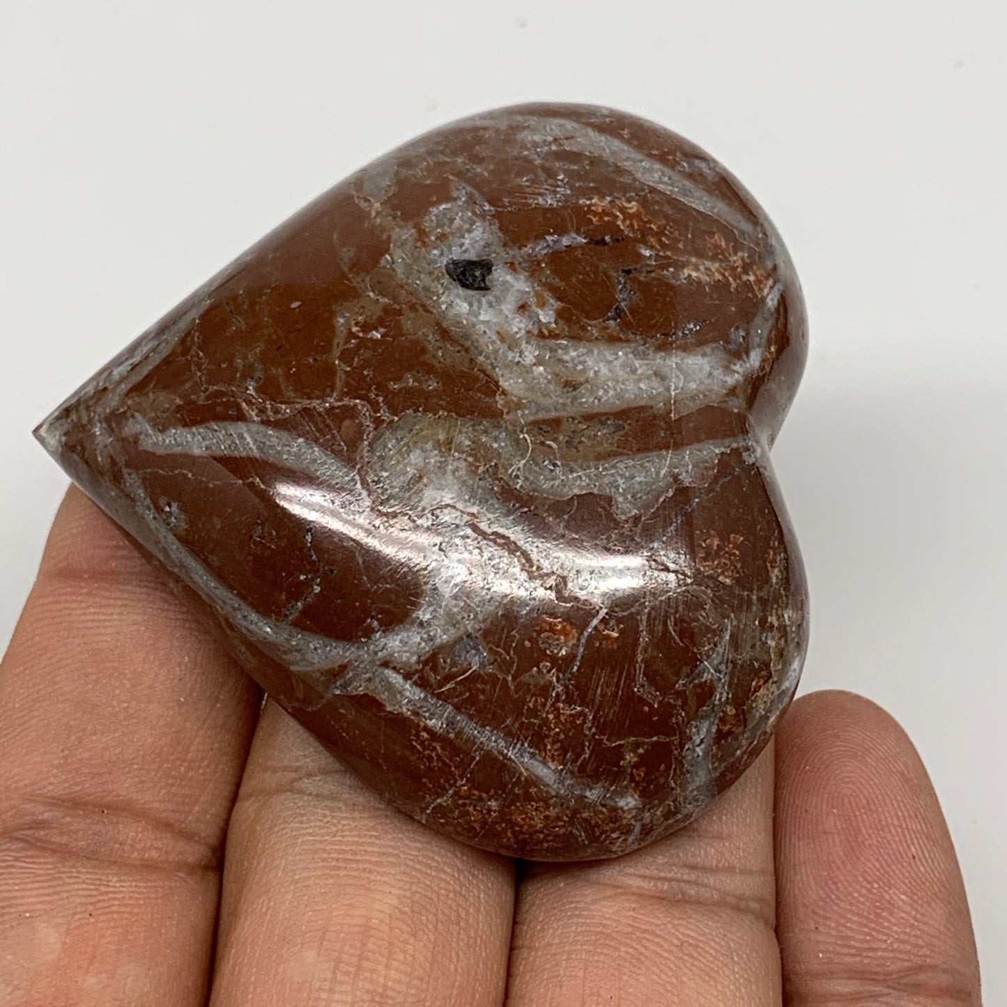 62.5g, 2.1" x 2.1"x 0.7", Natural Untreated Red Shell Fossils Half Heart @Morocc