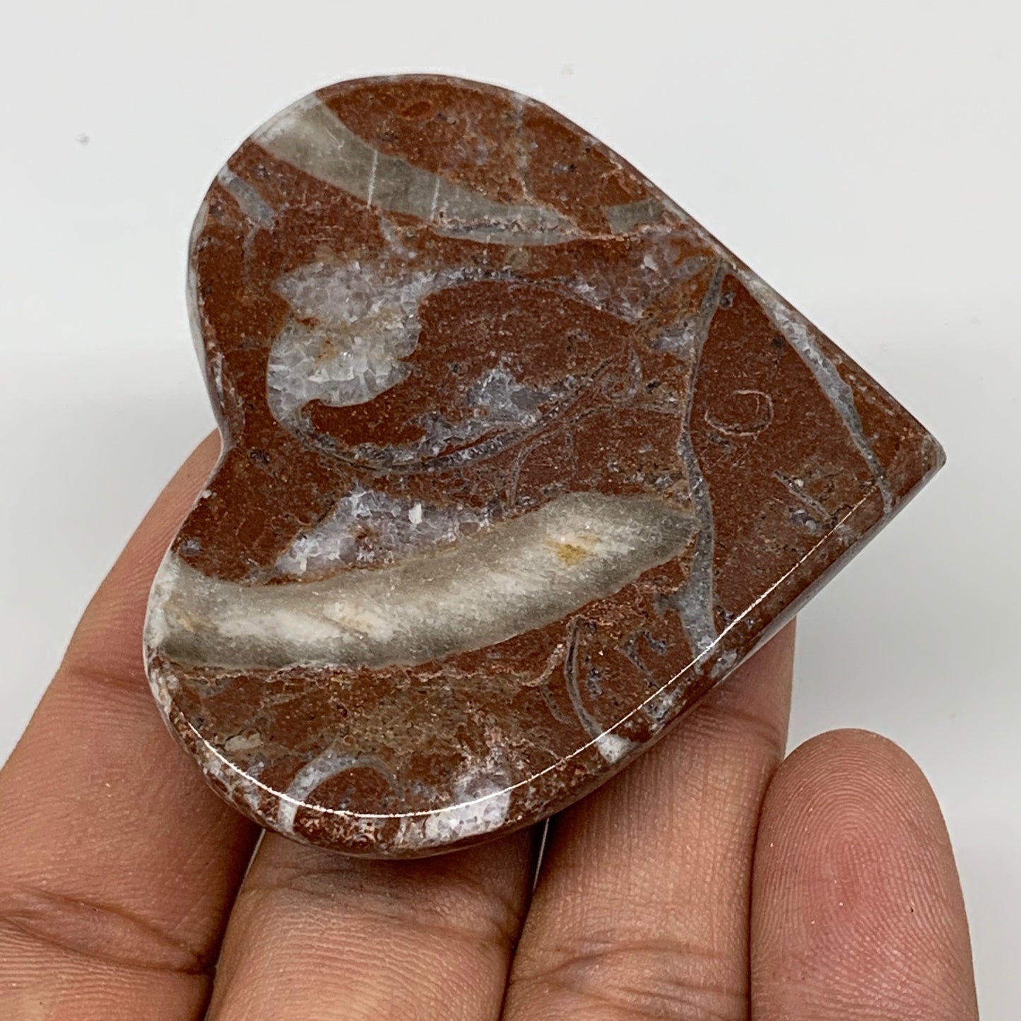 60.1g, 2" x 2.2"x 0.6", Natural Untreated Red Shell Fossils Half Heart @Morocco,