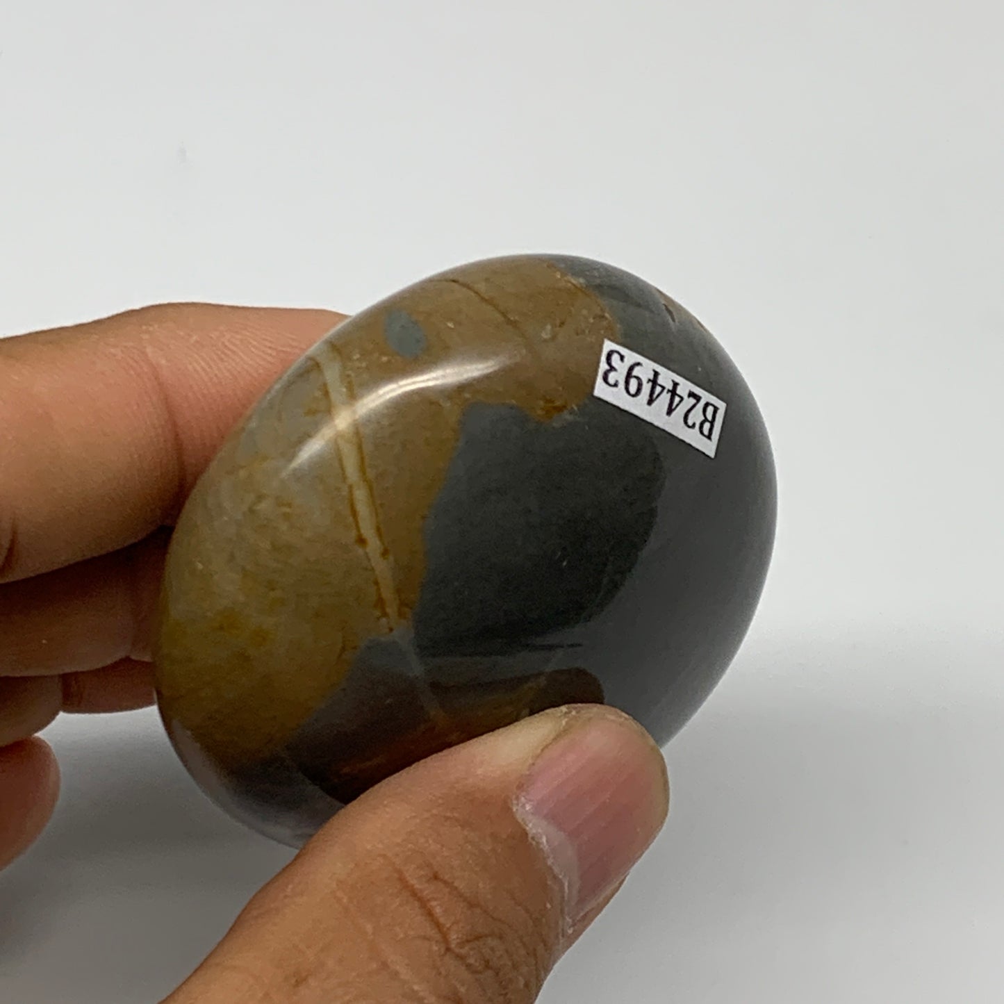 114.3g, 2.3"x2"x1.1" Polychrome Jasper Palm-Stone Reiki @Madagascar, B24493