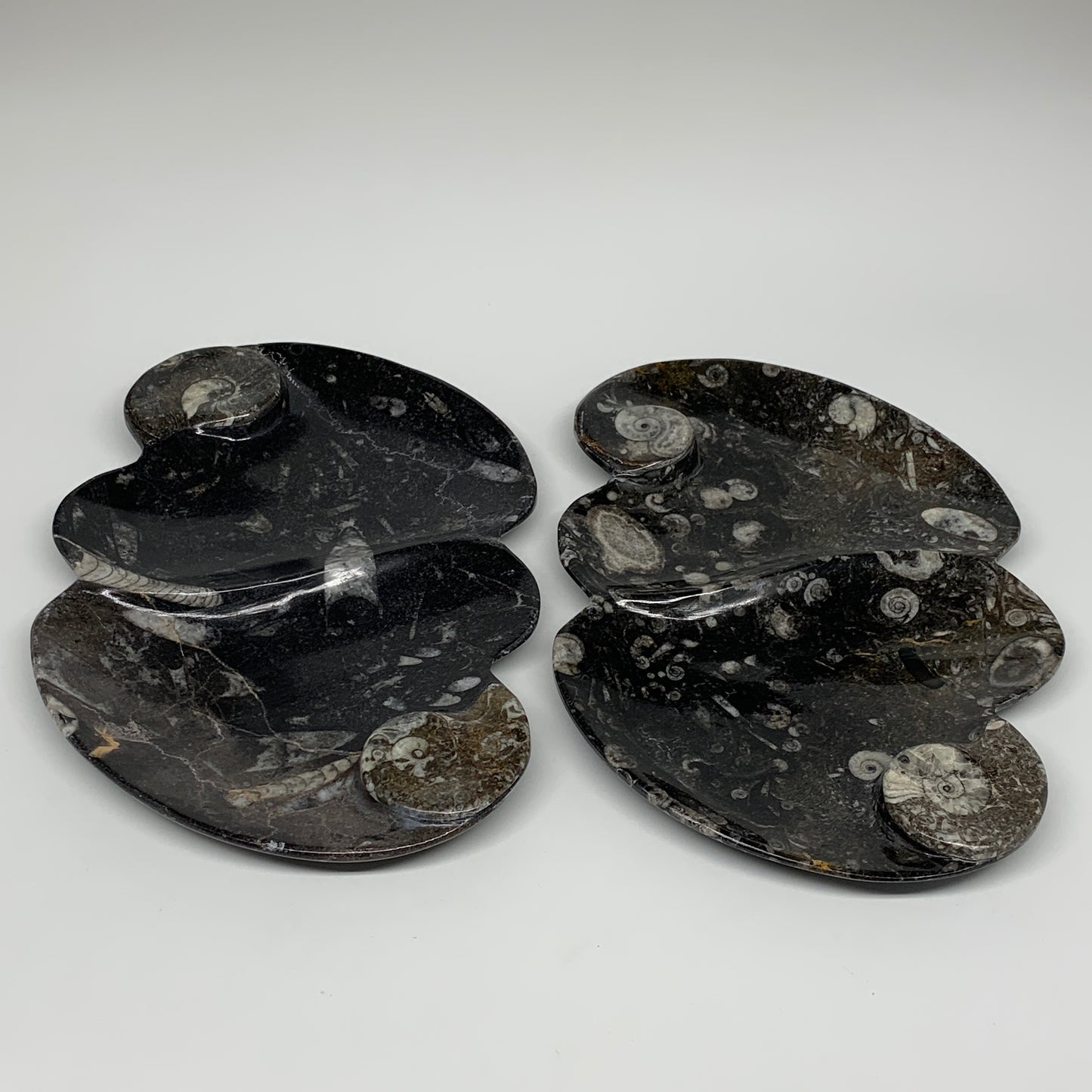 2pcs Set,8.5"x5.5" Double Heart Fossils Orthoceras Ammonite Bowls @Morocco,B8520