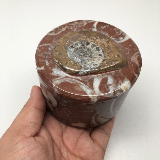 484g, 2.5"x3.4" Round Shape Fossils Ammonite Red Jewelry Box @Morocco, MF1005 - watangem.com