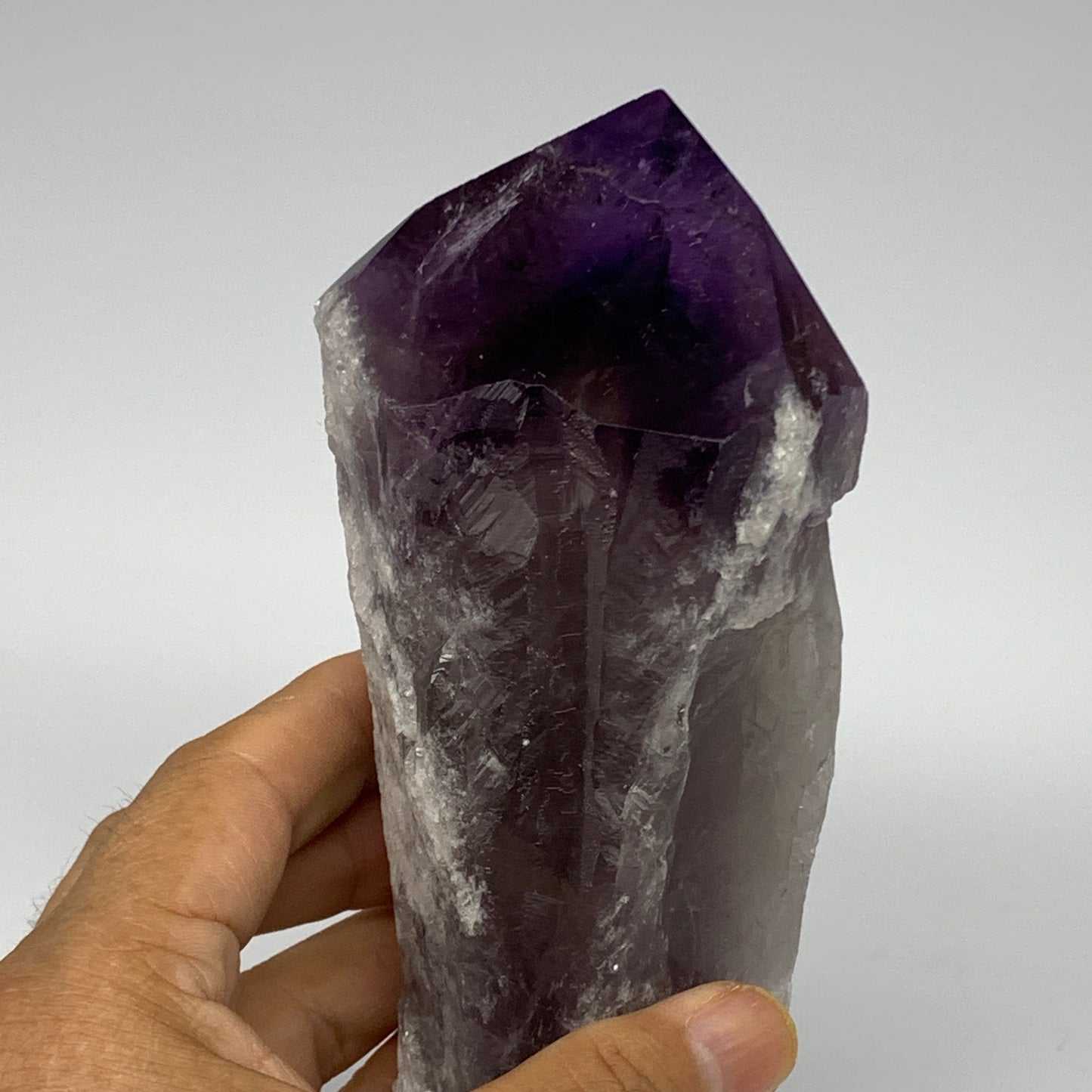 630g,7.4"x2.6"x1.9",Amethyst Point Polished Rough lower part from Brazil,B19093