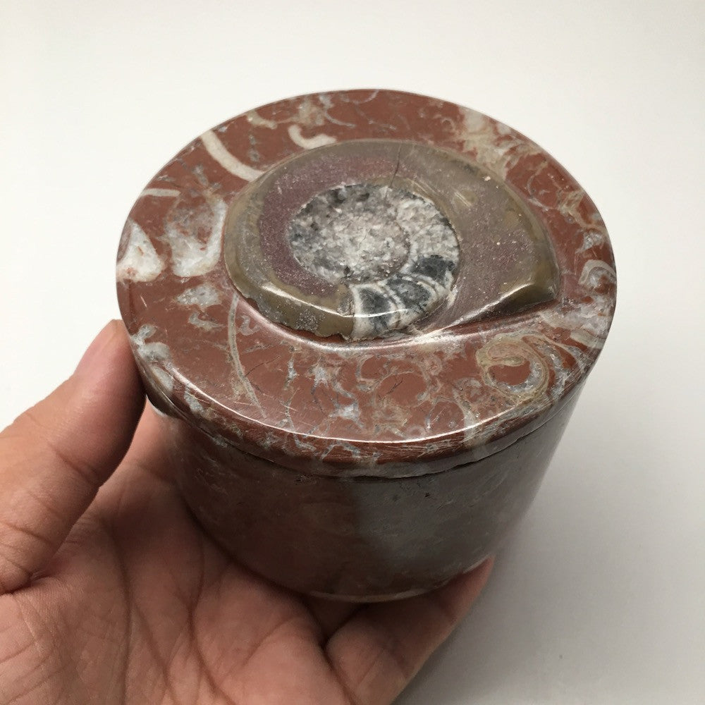 534g, 2.5"x3.4" Round Shape Fossils Ammonite Red Jewelry Box @Morocco, MF1016 - watangem.com