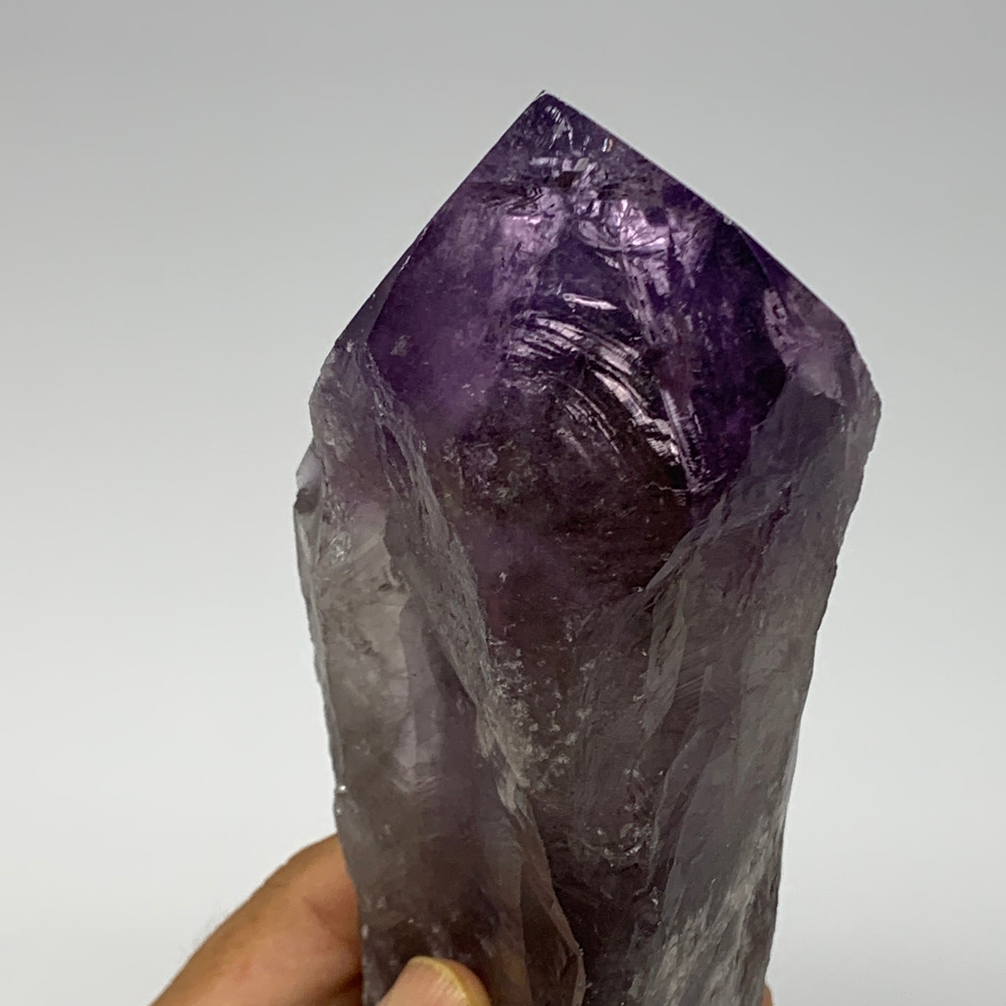 555g,8.5"x2.4"x2",Amethyst Point Polished Rough lower part from Brazil,B19101