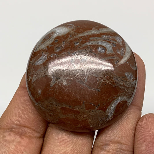 47.9g, 1.8"x0.6", Natural Untreated Red Shell Fossils Round Palms-tone, F1096