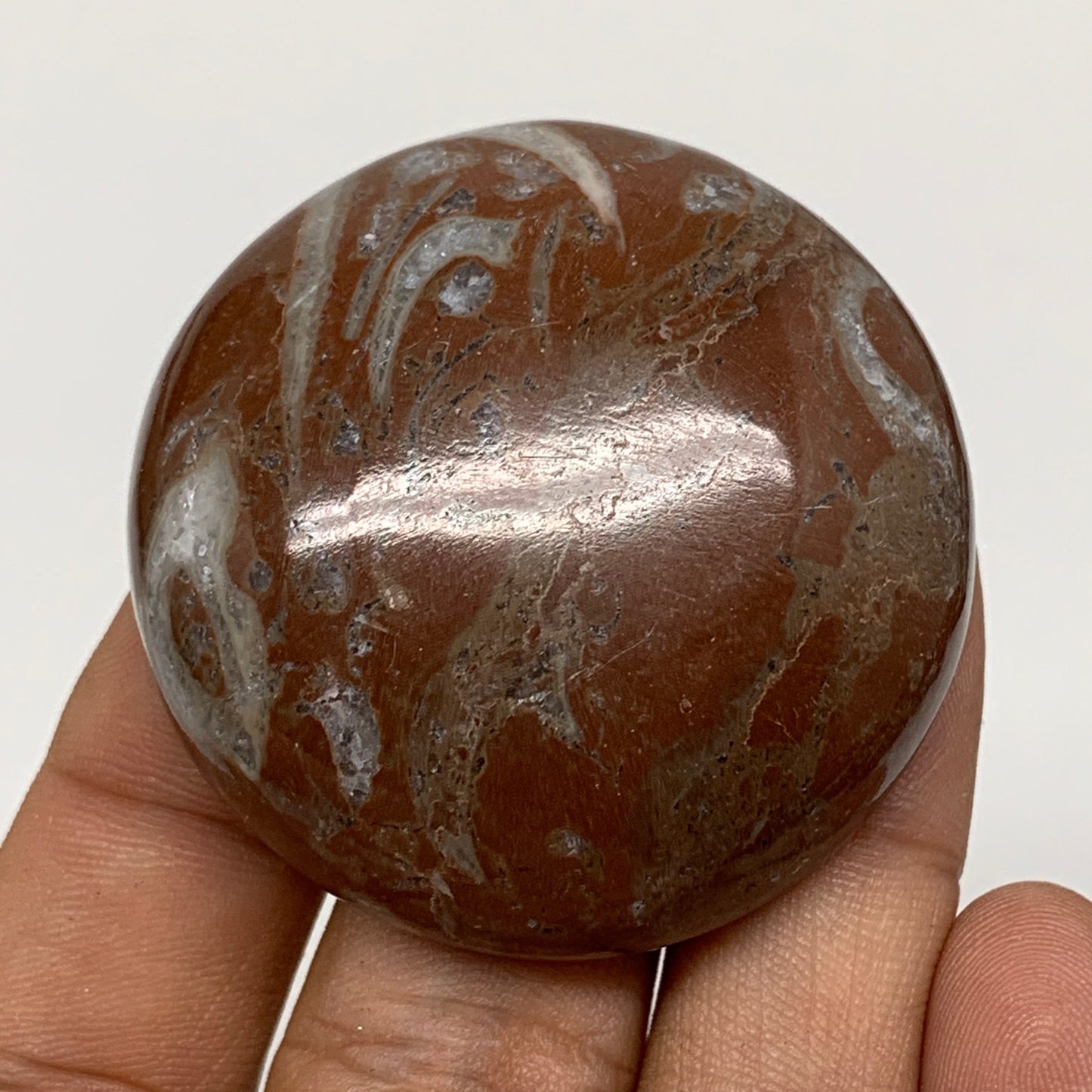 47.9g, 1.8"x0.6", Natural Untreated Red Shell Fossils Round Palms-tone, F1096