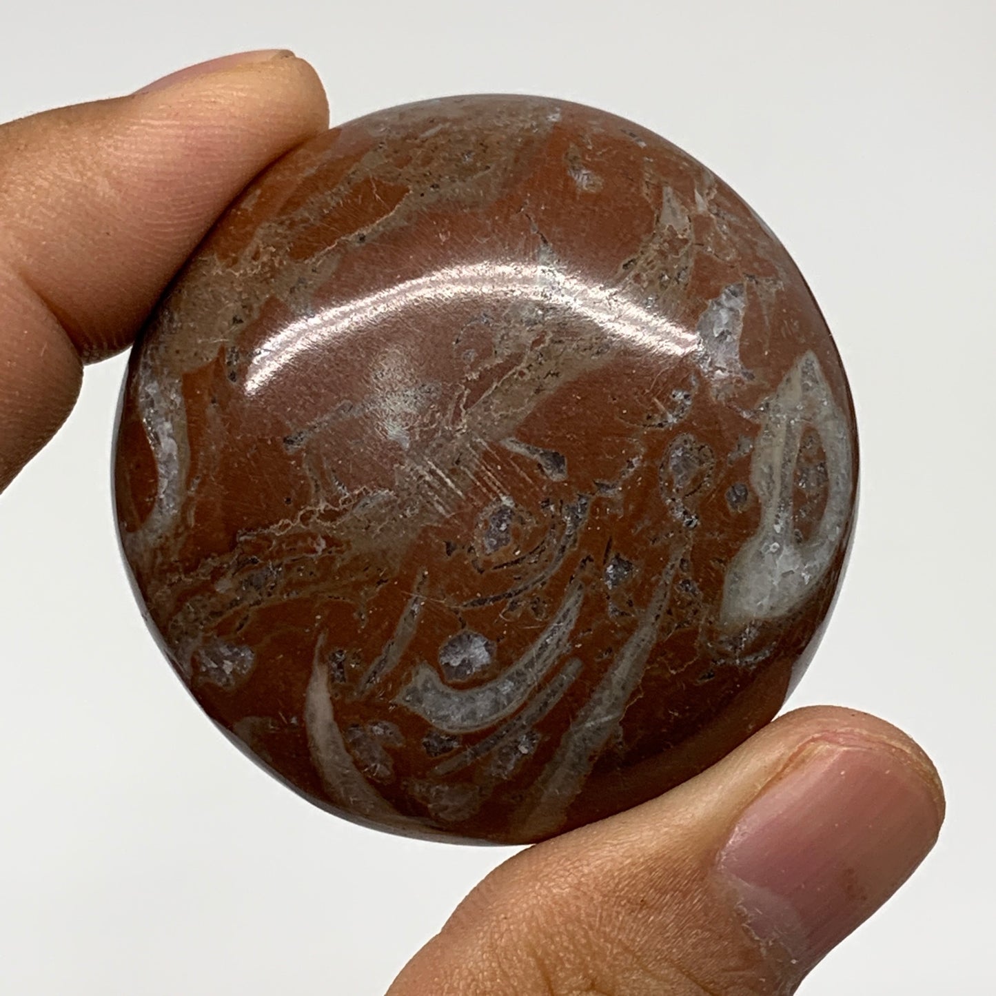 47.9g, 1.8"x0.6", Natural Untreated Red Shell Fossils Round Palms-tone, F1096